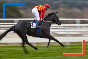 Jockey on a black racehorse at full speed, symbolizing real-time data engineering velocity and performance.